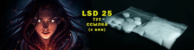 ECSTASY Баксан